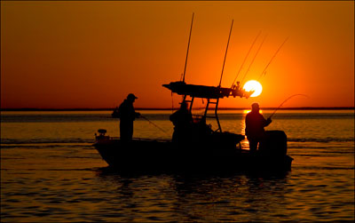 Ловля рыбы с лодки видео