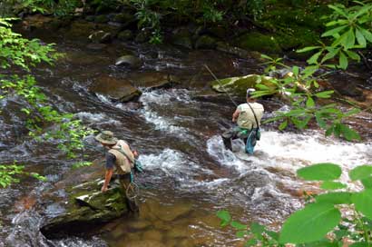 Советы рыбакам - покоряем горные реки