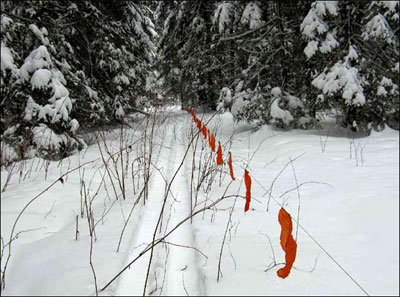 Охота на волка с флажками