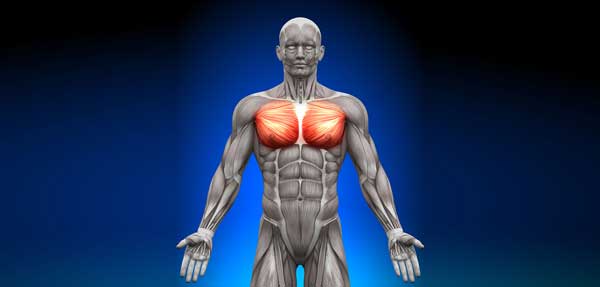 Как накачать грудные мышцы дома, упражнения, видео